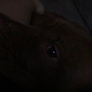 Meet your Posher, Kaleb